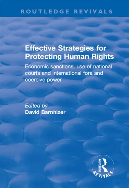 Effective Strategies for Protecting Human Rights