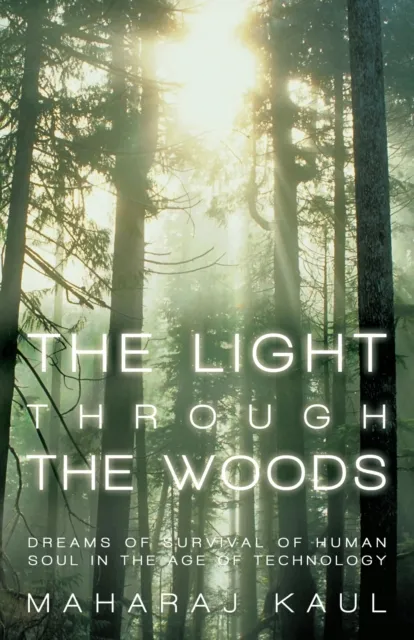 Light Through the Woods