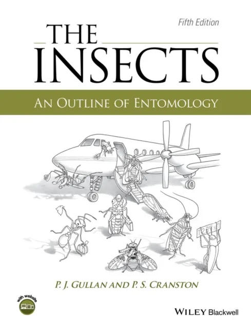 Insects