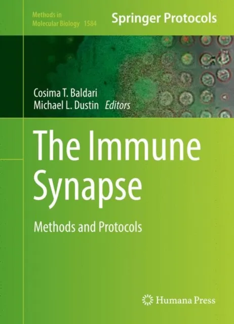 Immune Synapse