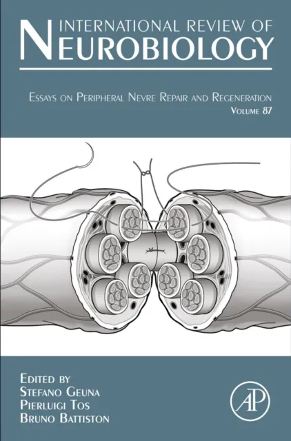 Essays on Peripheral Nerve Repair and Regeneration