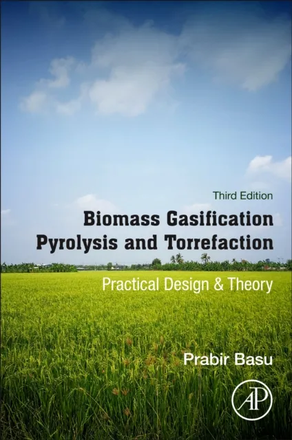 Biomass Gasification, Pyrolysis and Torrefaction