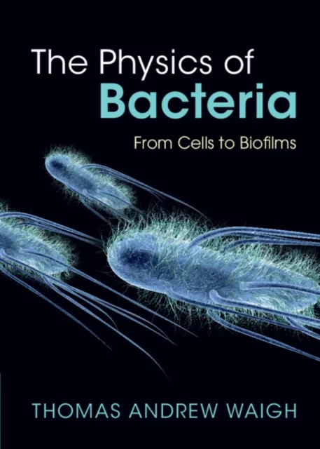 Physics of Bacteria
