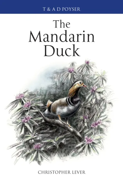 Mandarin Duck