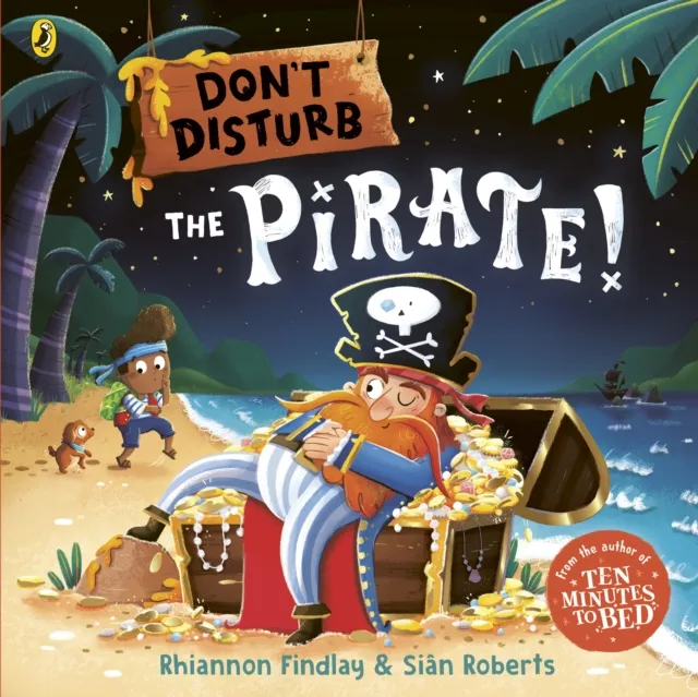 Don t Disturb The Pirate