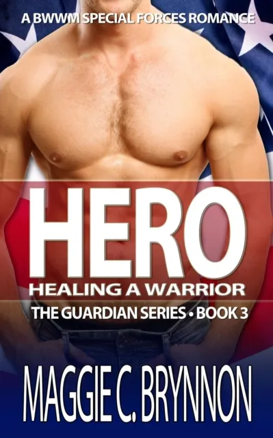 Hero: Healing a Warrior, Book 3