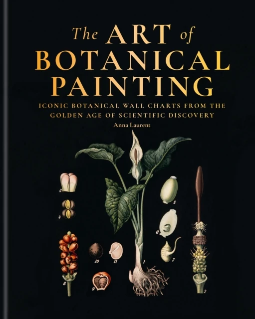 Art of Botanical Painting