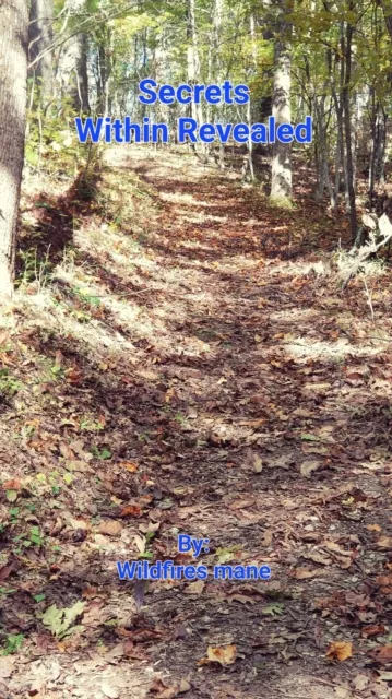 Secrets Within Revealed