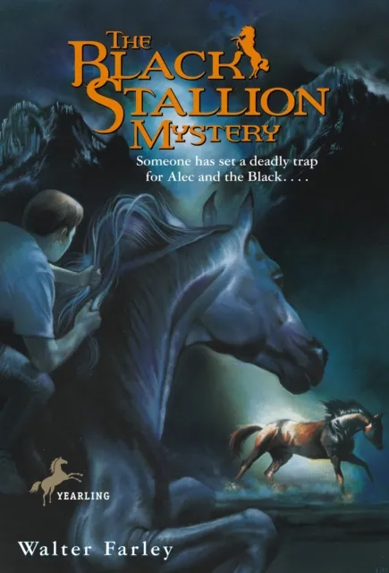 Black Stallion Mystery