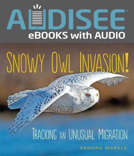 Snowy Owl Invasion!