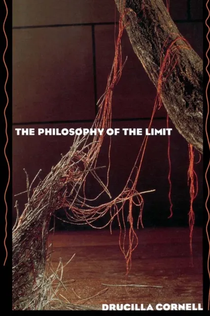 Philosophy of the Limit