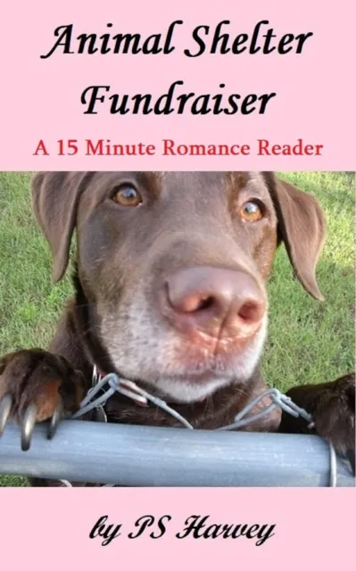 Animal Shelter Fundraiser (A 15 Minute Romance Reader)