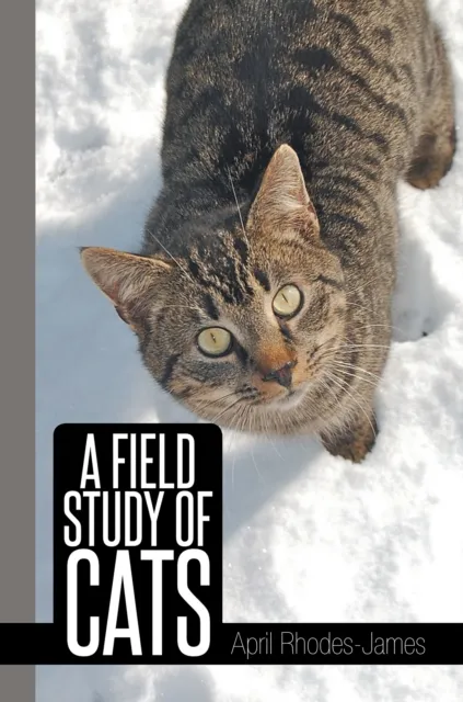 Field Study of Cats