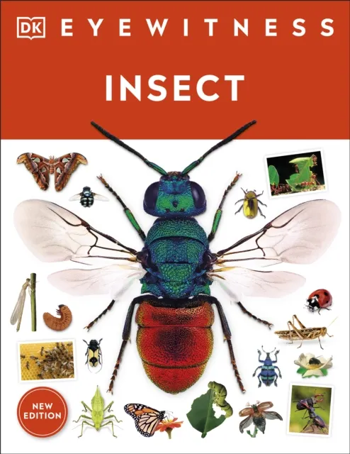 Insect