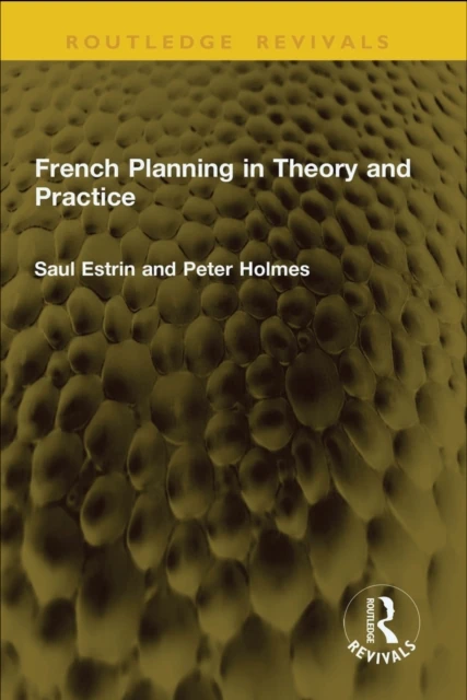 French Planning in Theory and Practice