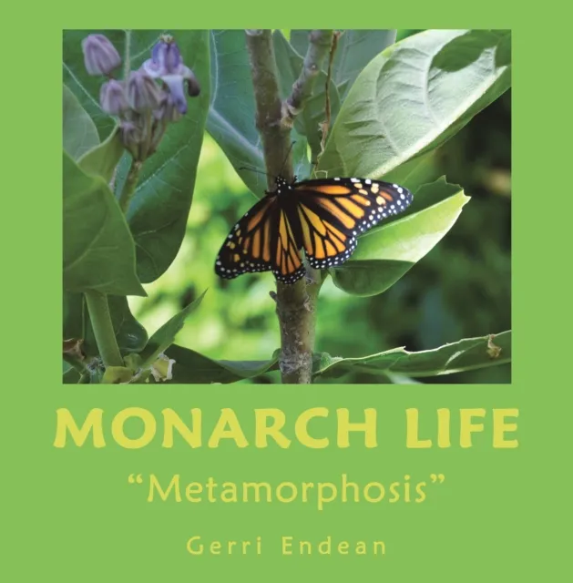 Monarch Life