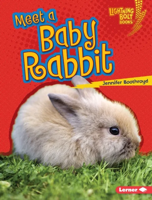 Meet a Baby Rabbit