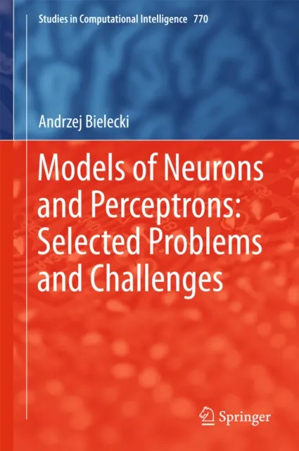 Models of Neurons and Perceptrons: Selected Problems and Challenges
