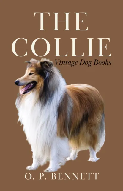 Collie