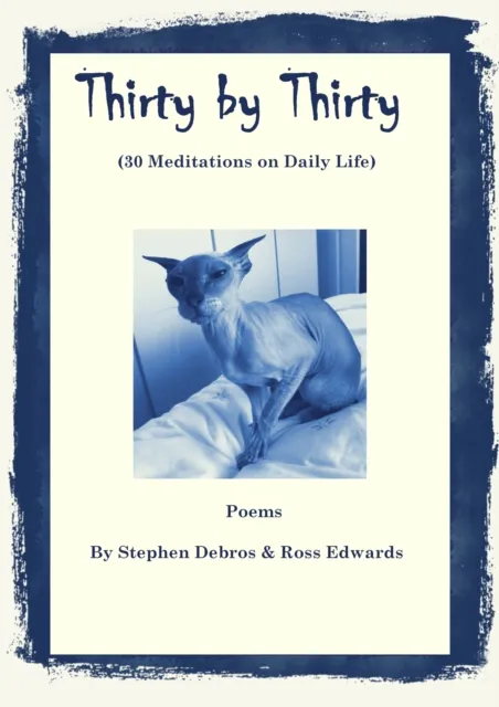 Thirty by Thirty (30 Meditations on Daily Life)