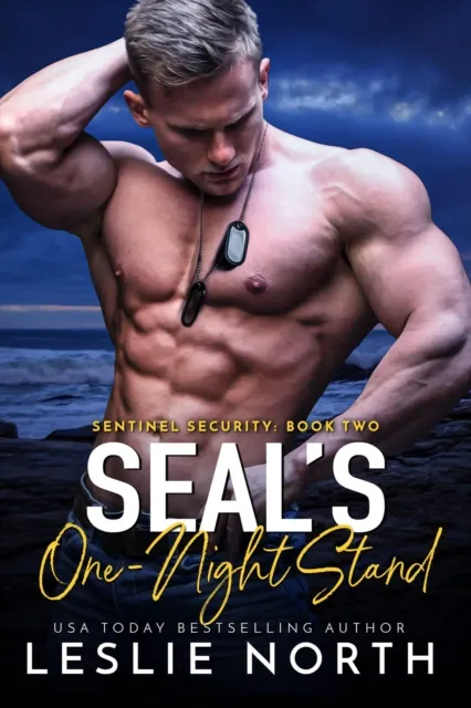 SEAL's One-Night Stand