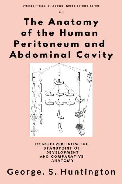 Anatomy of the Human Peritoneum and Abdominal Cavity