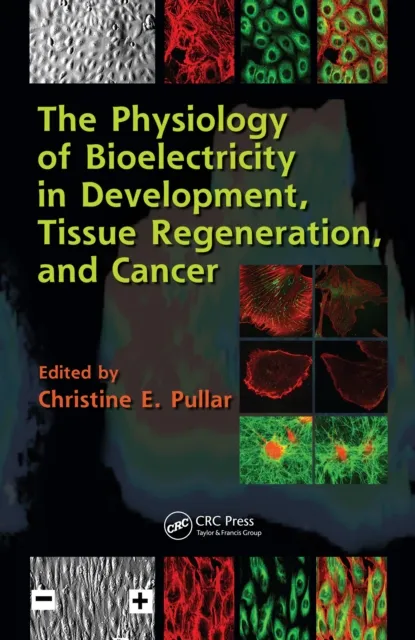 Physiology of Bioelectricity in Development, Tissue Regeneration and Cancer