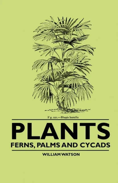 Plants - Ferns, Palms and Cycads