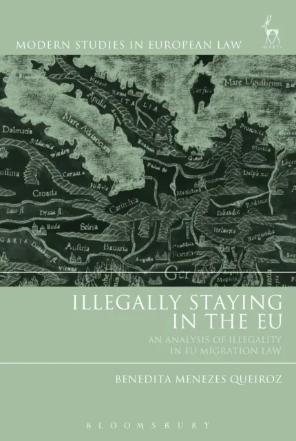 Illegally Staying in the EU