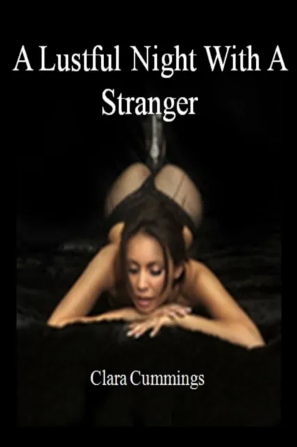 Lustful Night With A Stranger