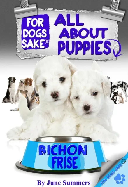 All About Bichon-Frise Puppies