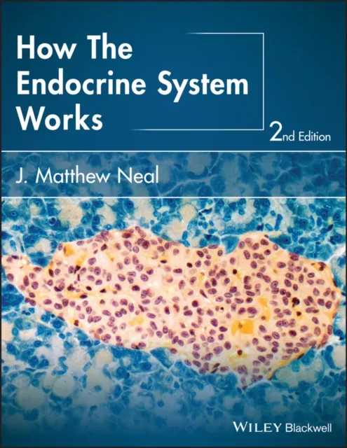How the Endocrine System Works