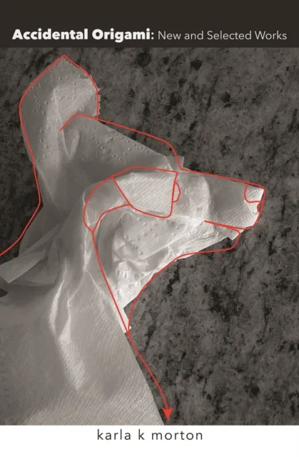 Accidental Origami