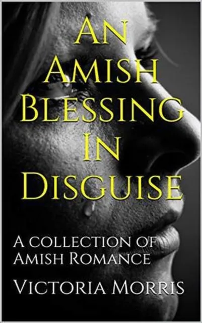 Amish Blessing In Disguise