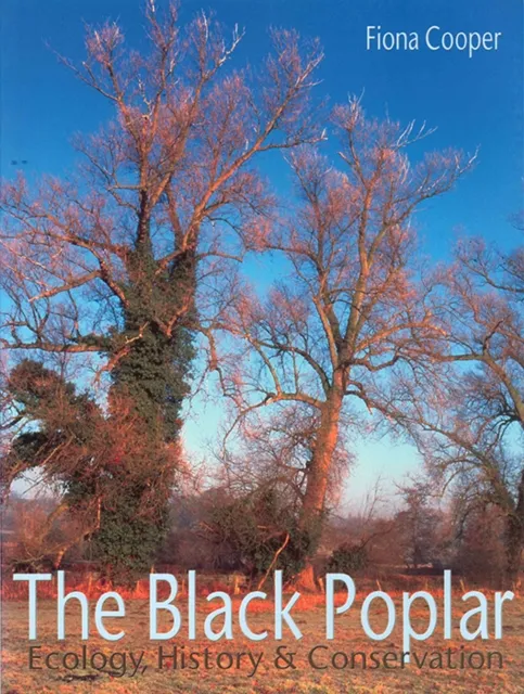 Black Poplar