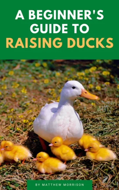 Beginner's Guide To Raising Ducks