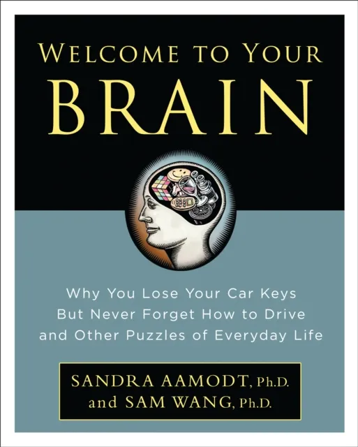Welcome to Your Brain