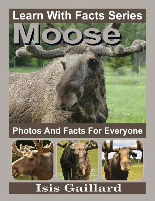 Moose Photos and Facts for Everyone