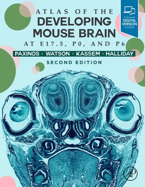 Atlas of the Developing Mouse Brain