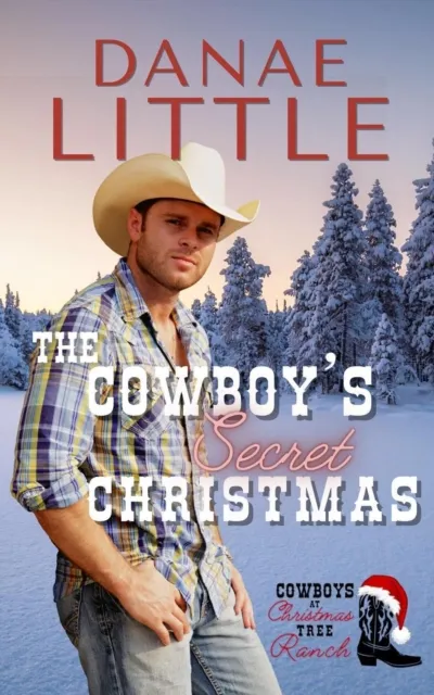 Cowboy's Secret Christmas