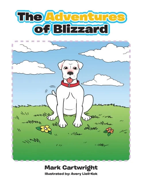 Adventures of Blizzard