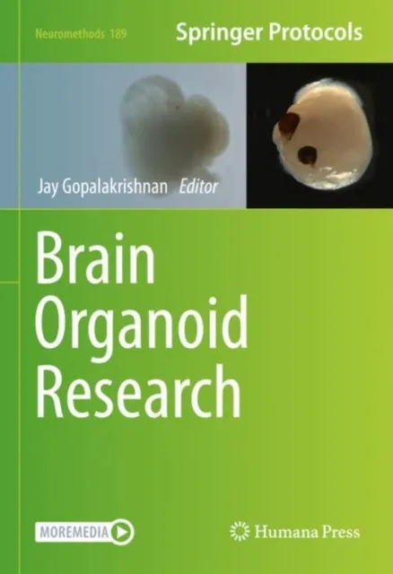 Brain Organoid Research
