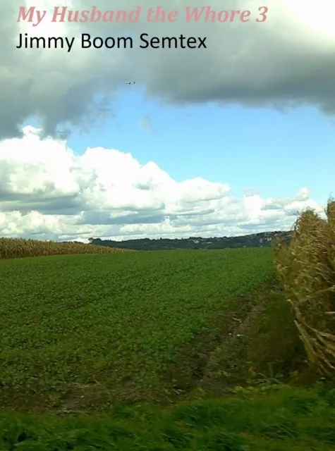 My Husband the Whore 3