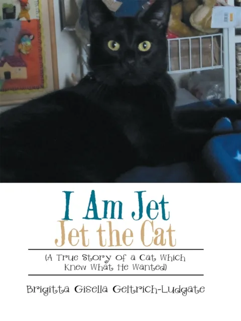 I Am Jet Jet the Cat