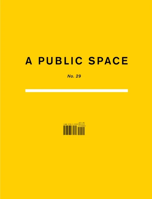 Public Space No. 29