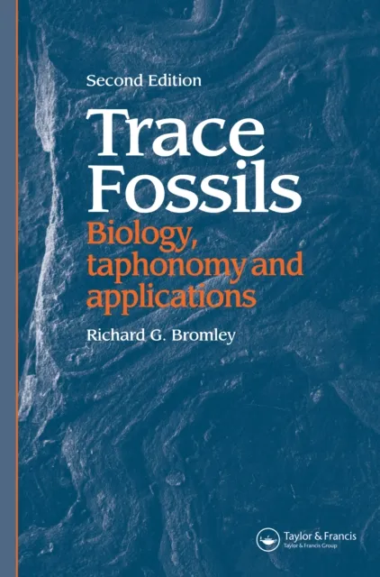 Trace Fossils