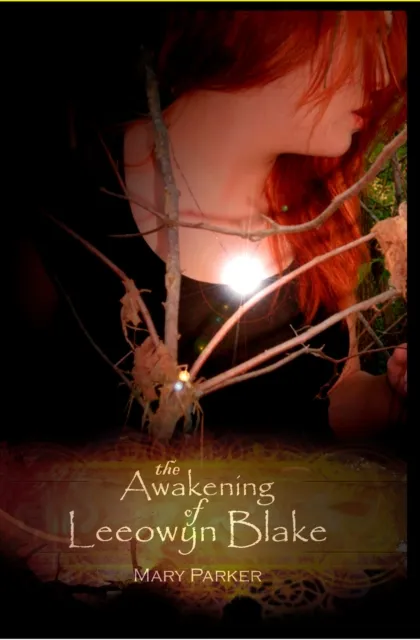 Awakening of Leeowyn Blake