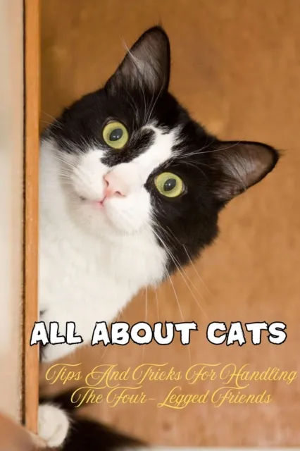 all About Cats