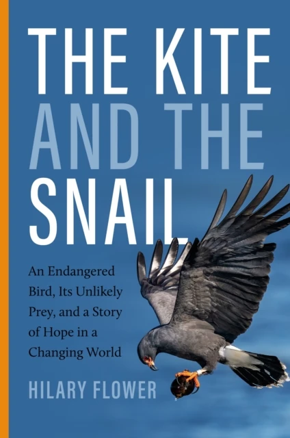 Kite and the Snail