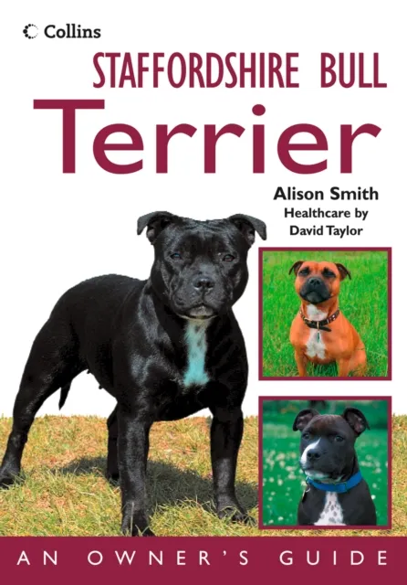 Staffordshire Bull Terrier